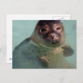 Briefkaart voor havenzegel (Voorkant / Achterkant)