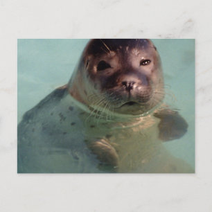 Briefkaart voor havenzegel