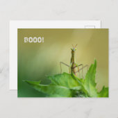 Briefkaart voor het brouwen (Voorkant / Achterkant)