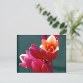 briefkaart voor het openen van rode bloem (Staand voorkant)