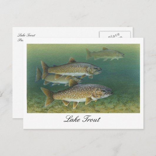 Briefkaart voor het schilderen van het meer (Voorkant / Achterkant)