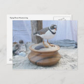 Briefkaart voor het uitlooppijp (Voorkant / Achterkant)