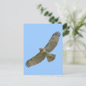 briefkaart voor het zogen van rode staart (Staand voorkant)