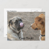 Briefkaart voor Humoureus Dog (Voorkant / Achterkant)