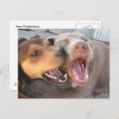 Briefkaart voor Humoureus Dog (Voorkant / Achterkant)