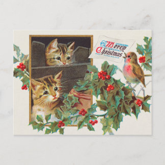 briefkaart voor katten- en vogelvakantie