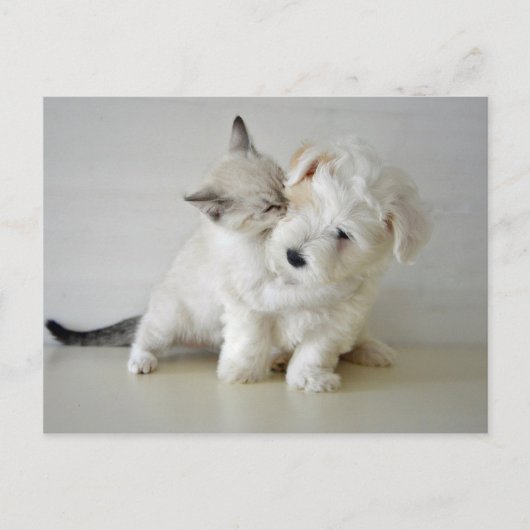 Briefkaart voor keukenpuin (Voorkant)