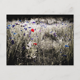 Briefkaart voor kleurisolatie van wilde bloemen