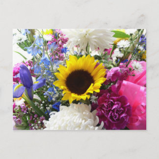 Briefkaart voor kleurrijke zonnebloempitten