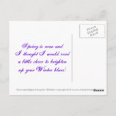 Briefkaart voor lentes en vlinders (Achterkant)