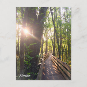 Briefkaart voor ochtendzonsopgang in Florida