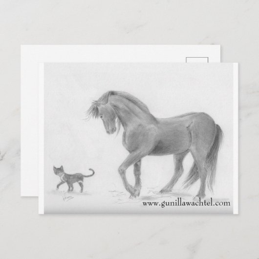 Briefkaart voor paarden en katten (Voorkant / Achterkant)