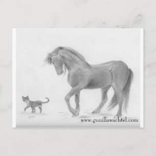 Briefkaart voor paarden en katten