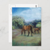 briefkaart voor "Paardenpasta" (Voorkant / Achterkant)