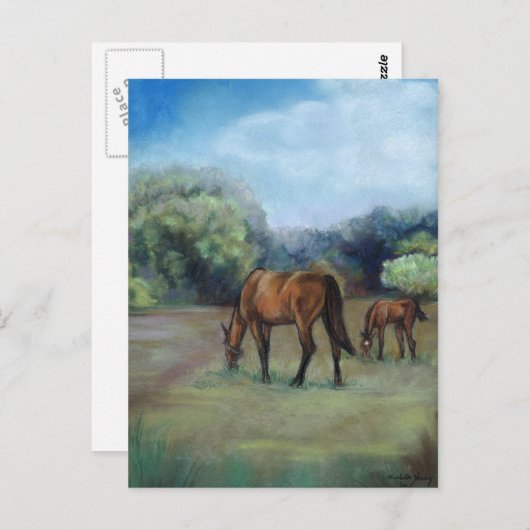 briefkaart voor "Paardenpasta" (Voorkant / Achterkant)