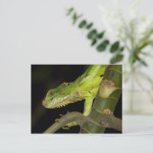 Briefkaart voor reisophaaldiensten 12 (Staand voorkant)