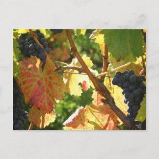 Briefkaart voor reisophaaldiensten 65