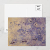 Briefkaart voor ruimtebijen (Voorkant / Achterkant)