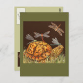 briefkaart voor schoolbus (Voorkant / Achterkant)