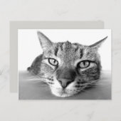 Briefkaart voor uitkoeling (Voorkant / Achterkant)