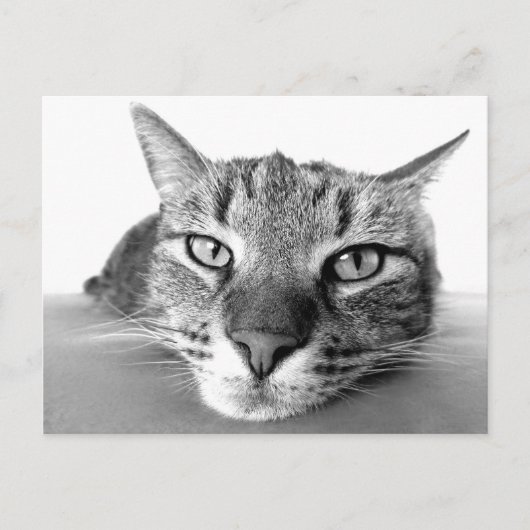 Briefkaart voor uitkoeling (Voorkant)