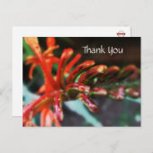 Briefkaart voor ventilatorschoeisel (Voorkant / Achterkant)