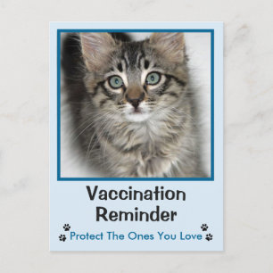Briefkaart voor veterinair vaccinatie Blue-Eyed Ki