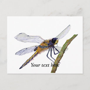 Briefkaart voor vierkantsdragonfly-Waterverf