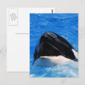 Briefkaart voor walvisgeluiden (Voorkant / Achterkant)