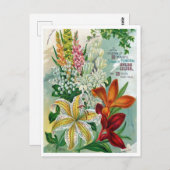 Briefkaart voor zaaigoed (Voorkant / Achterkant)