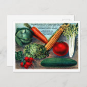  Briefkaart voor zaaigoed (Voorkant / Achterkant)