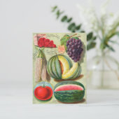 Briefkaart voor zaaigoed (Staand voorkant)