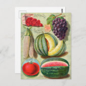 Briefkaart voor zaaigoed (Voorkant / Achterkant)