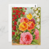  Briefkaart voor zaaigoed (Voorkant / Achterkant)