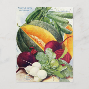  Briefkaart voor zaaigoed