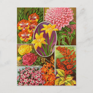 Briefkaart voor zaaigoed