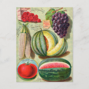 Briefkaart voor zaaigoed