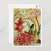 Briefkaart voor zaaigoed (Voorkant / Achterkant)