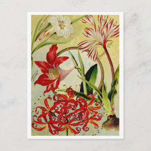 Briefkaart voor zaaigoed