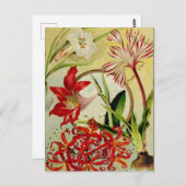 Briefkaart voor zaaigoed (Voorkant / Achterkant)