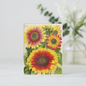 Briefkaart voor zaaigoed (Staand voorkant)