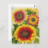 Briefkaart voor zaaigoed (Voorkant / Achterkant)