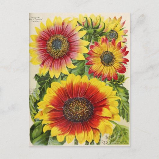 Briefkaart voor zaaigoed (Voorkant)