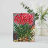 Briefkaart voor zaaigoed (Staand voorkant)