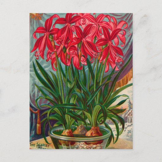 Briefkaart voor zaaigoed (Voorkant)