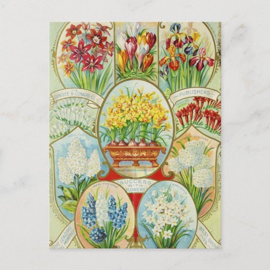 Briefkaart voor zaaigoed (Voorkant)