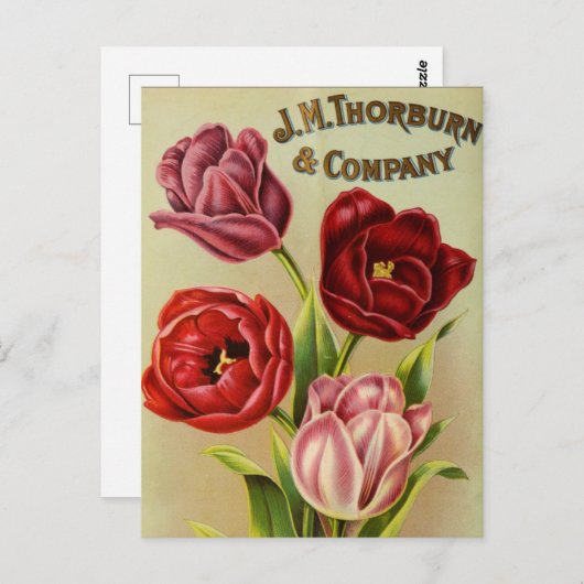 Briefkaart voor zaaigoed (Voorkant / Achterkant)