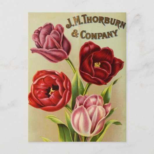 Briefkaart voor zaaigoed (Voorkant)