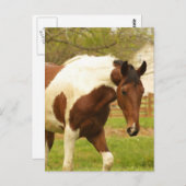 Briefkaart voor zwervende verf (Voorkant / Achterkant)