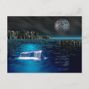 Briefkaart walvisvis